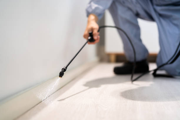 Licensed Pest Control service in Andrews, TX - Show Me Pest Control