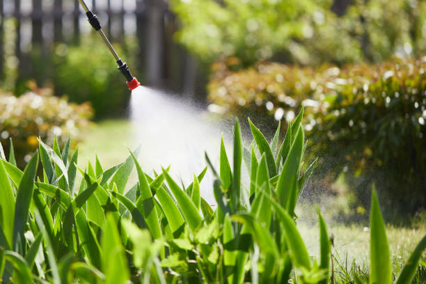 Tamper-Resistant Bait Stations for Rodents in Andrews